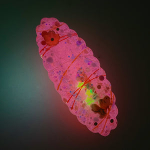 Yoyo Tsuri Glow Barrette (Pink)