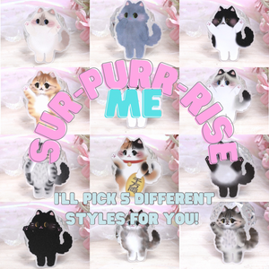 Fluffy Cat Sticker