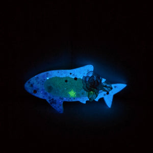 Mamoru Shark Barrette (6cm clasp)