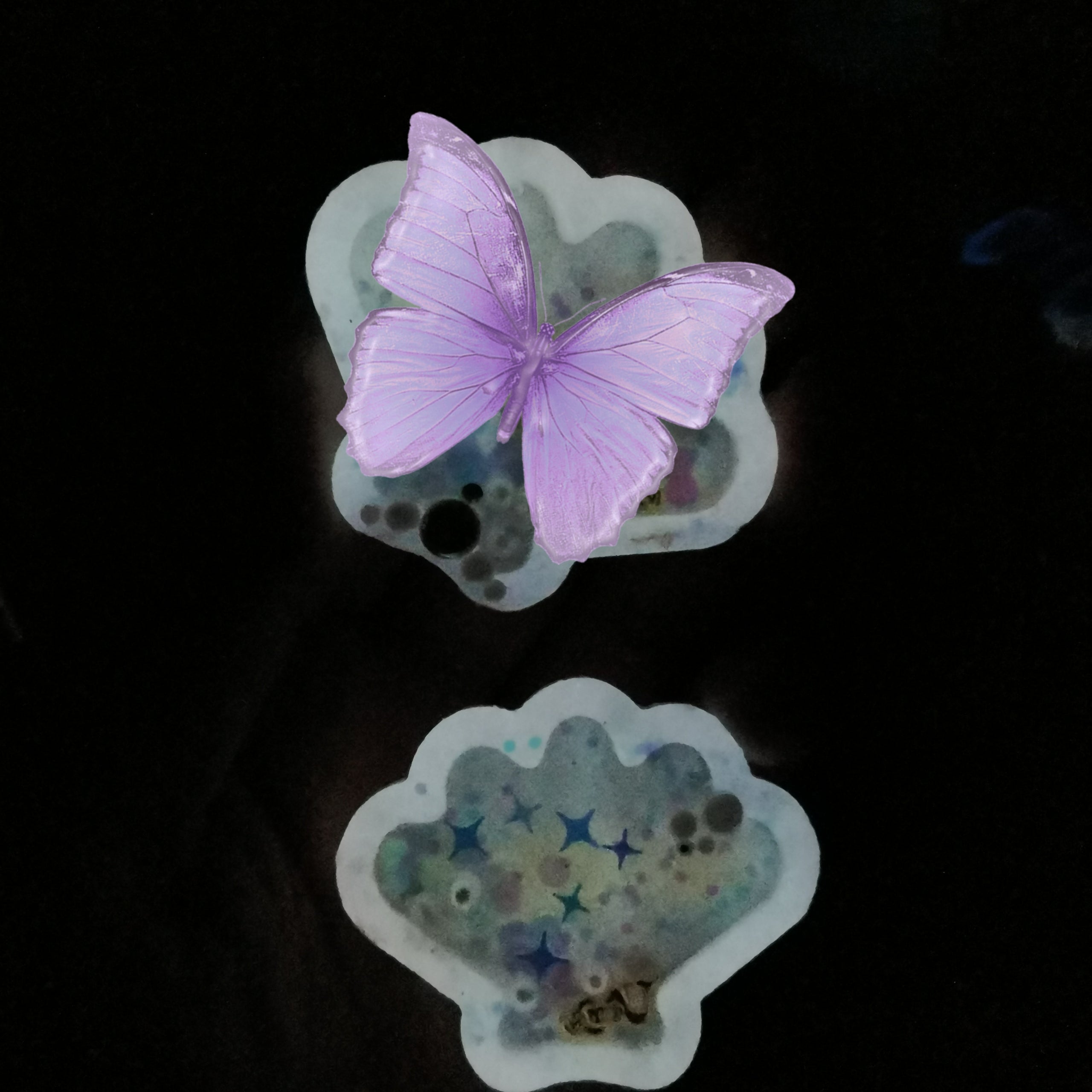 Baby Shell Clip