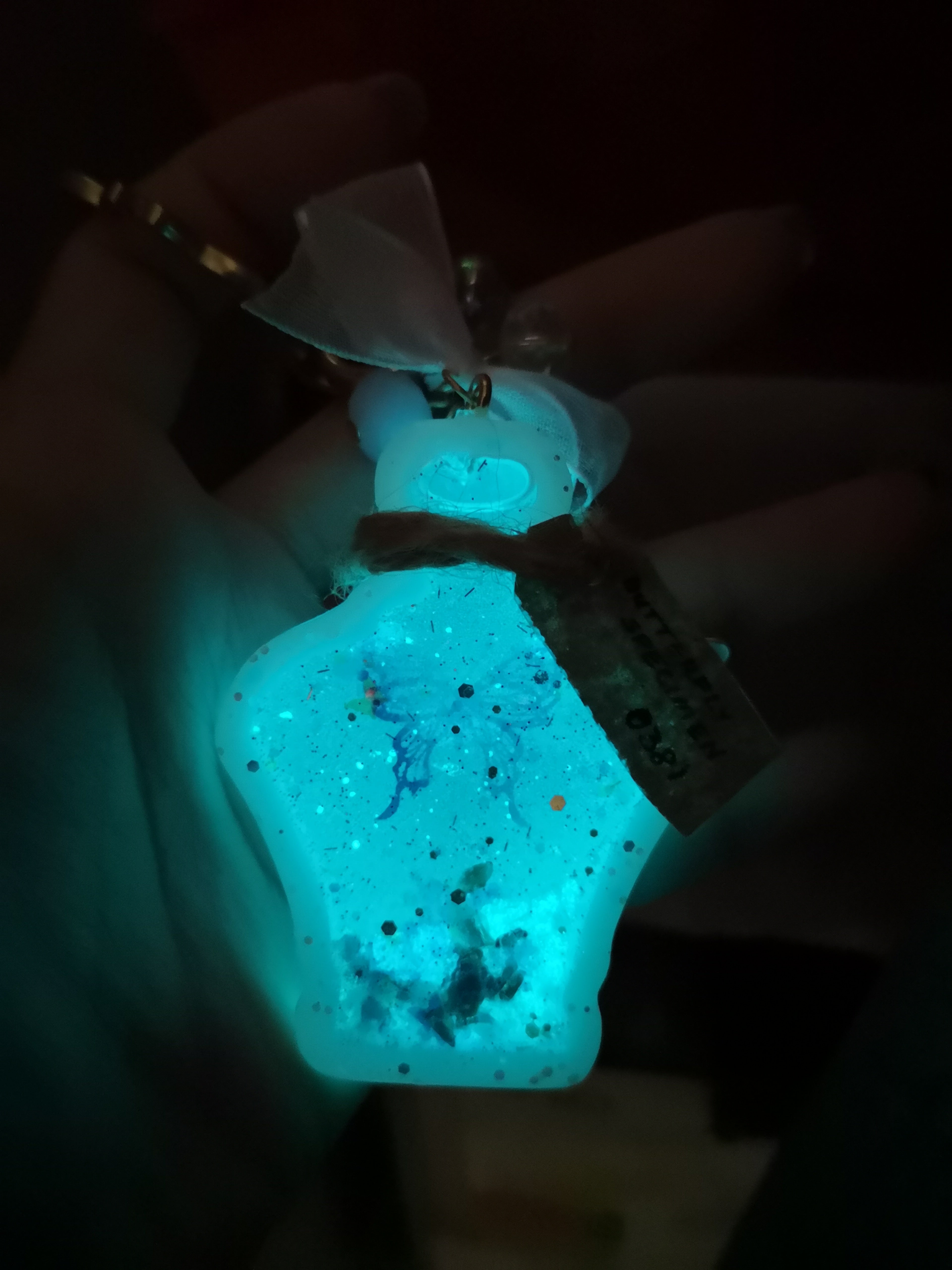 Butterfly Specimen Charm
