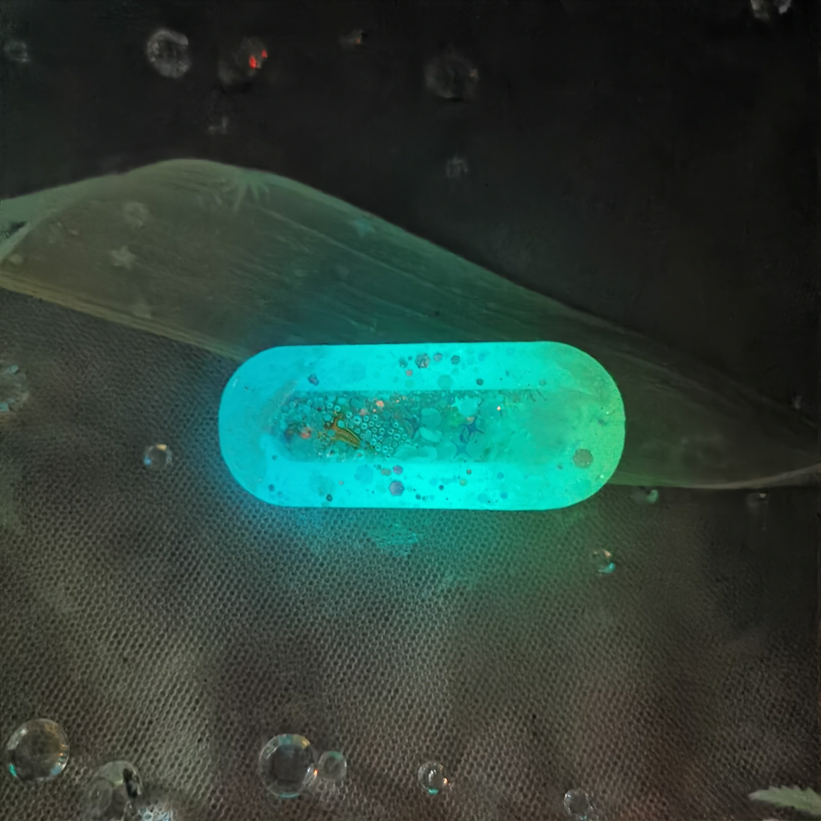 Vitamin Sea Aurora Dolphin Clip A