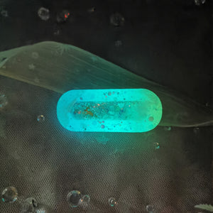 Vitamin Sea Aurora Dolphin Clip A
