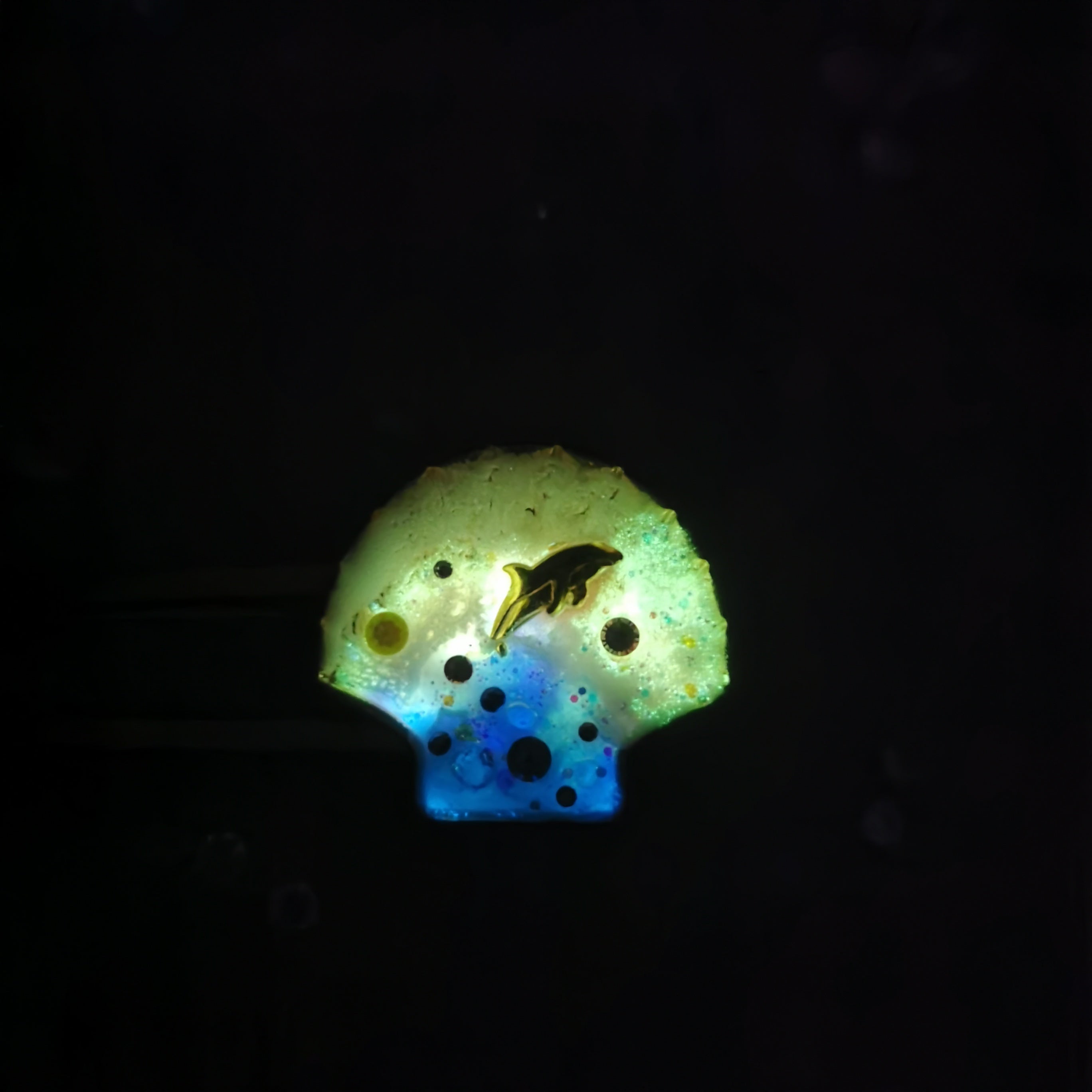 Reverse Prism Tides Dolphin Barrette