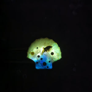 Reverse Prism Tides Dolphin Barrette
