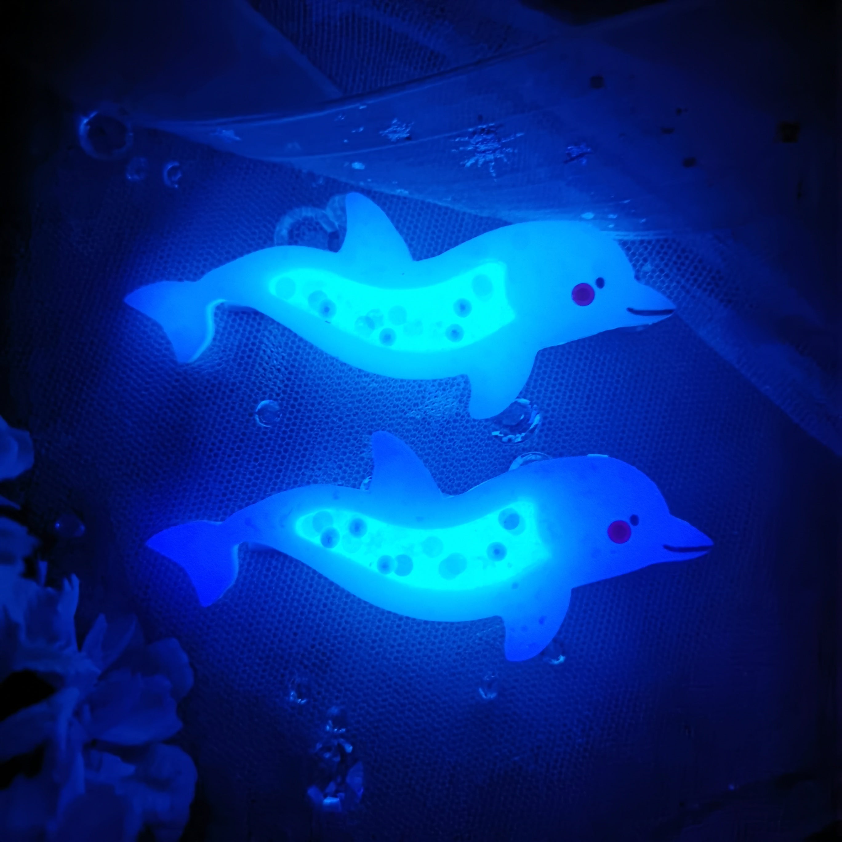 Purple Dolphin (6cm slim clip)