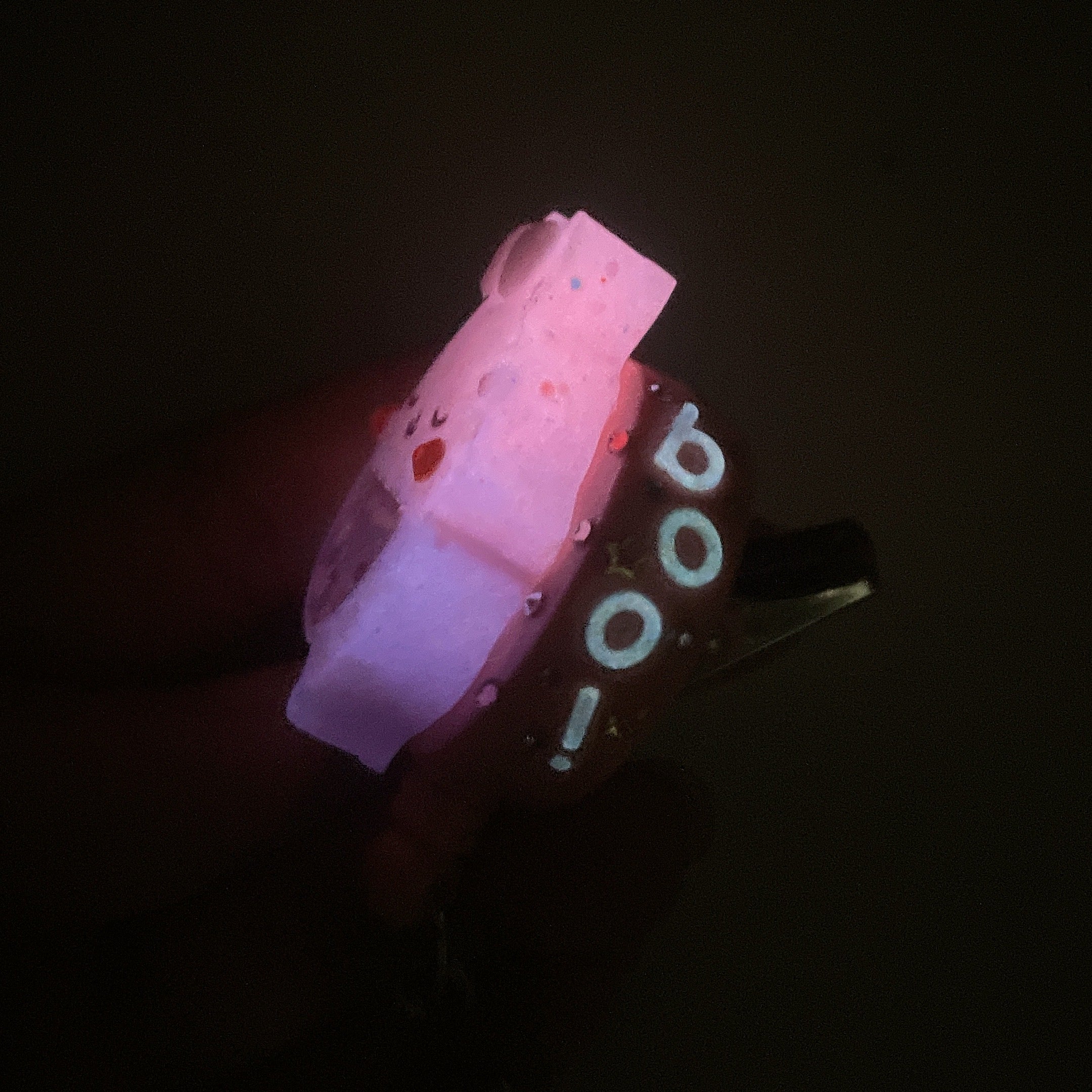 Boo Bun Badge Reel