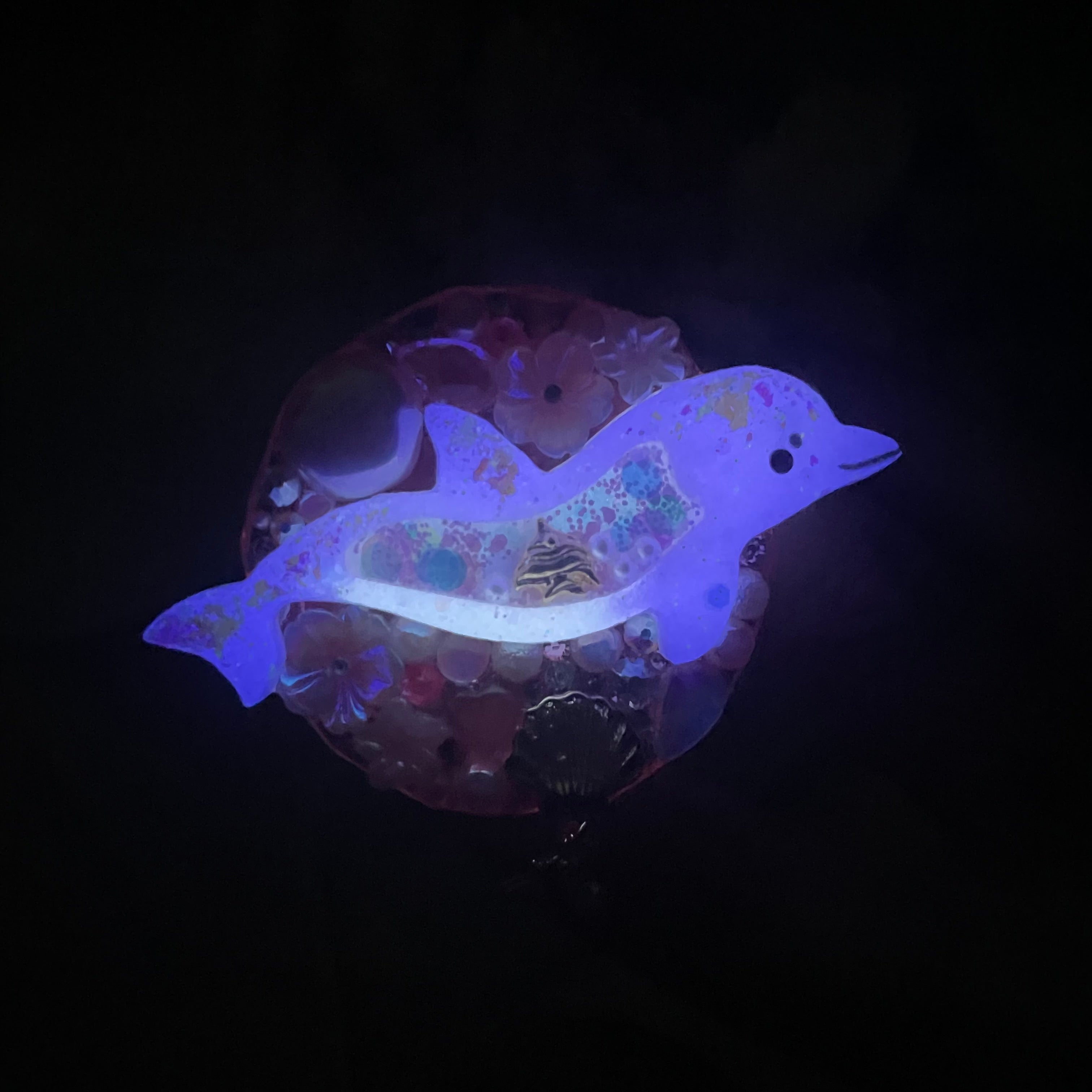 Super Sweet Anemone Dolphin Grip