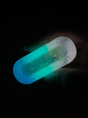 Vitamin Sea Aurora Dolphin Clip