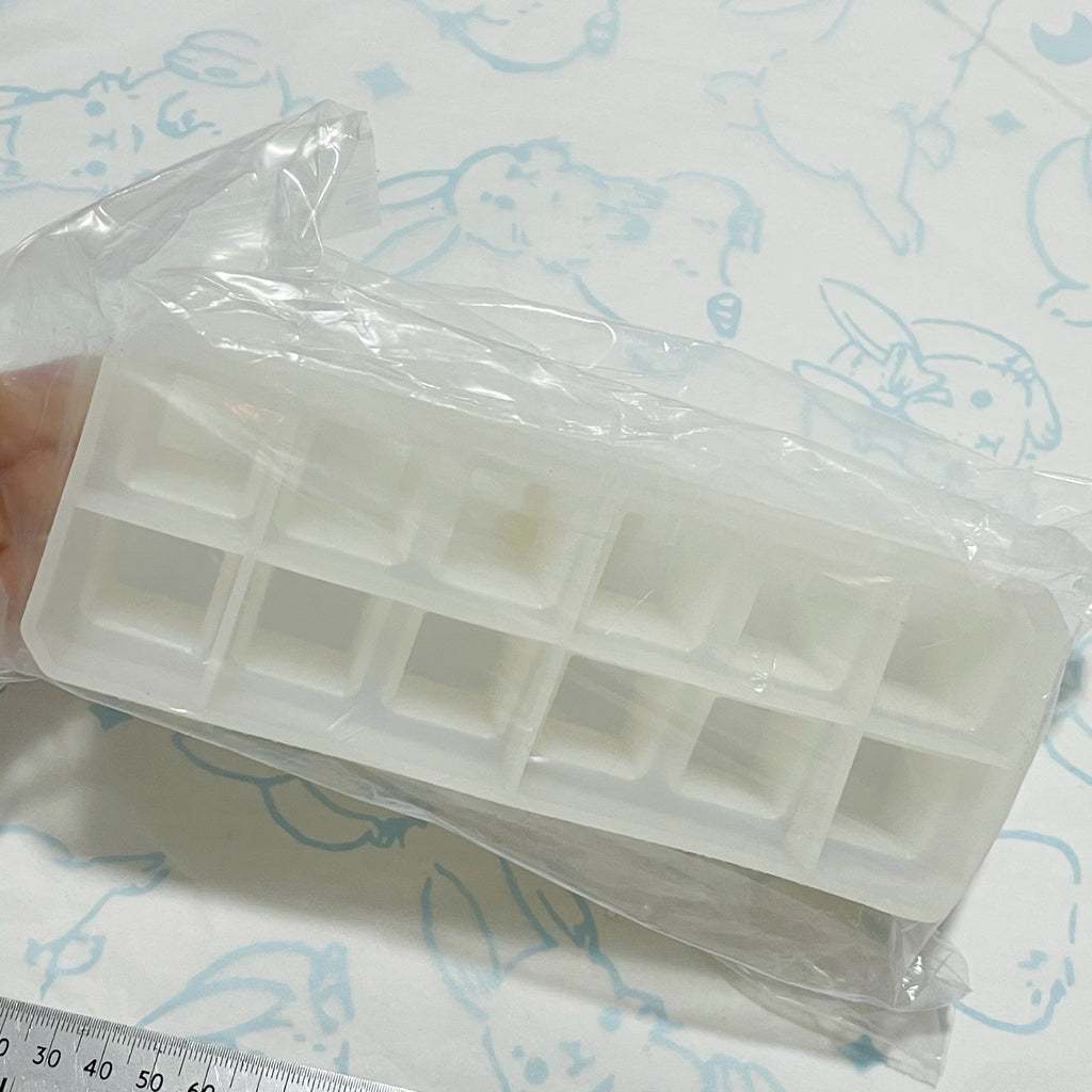 Pigment holder mold