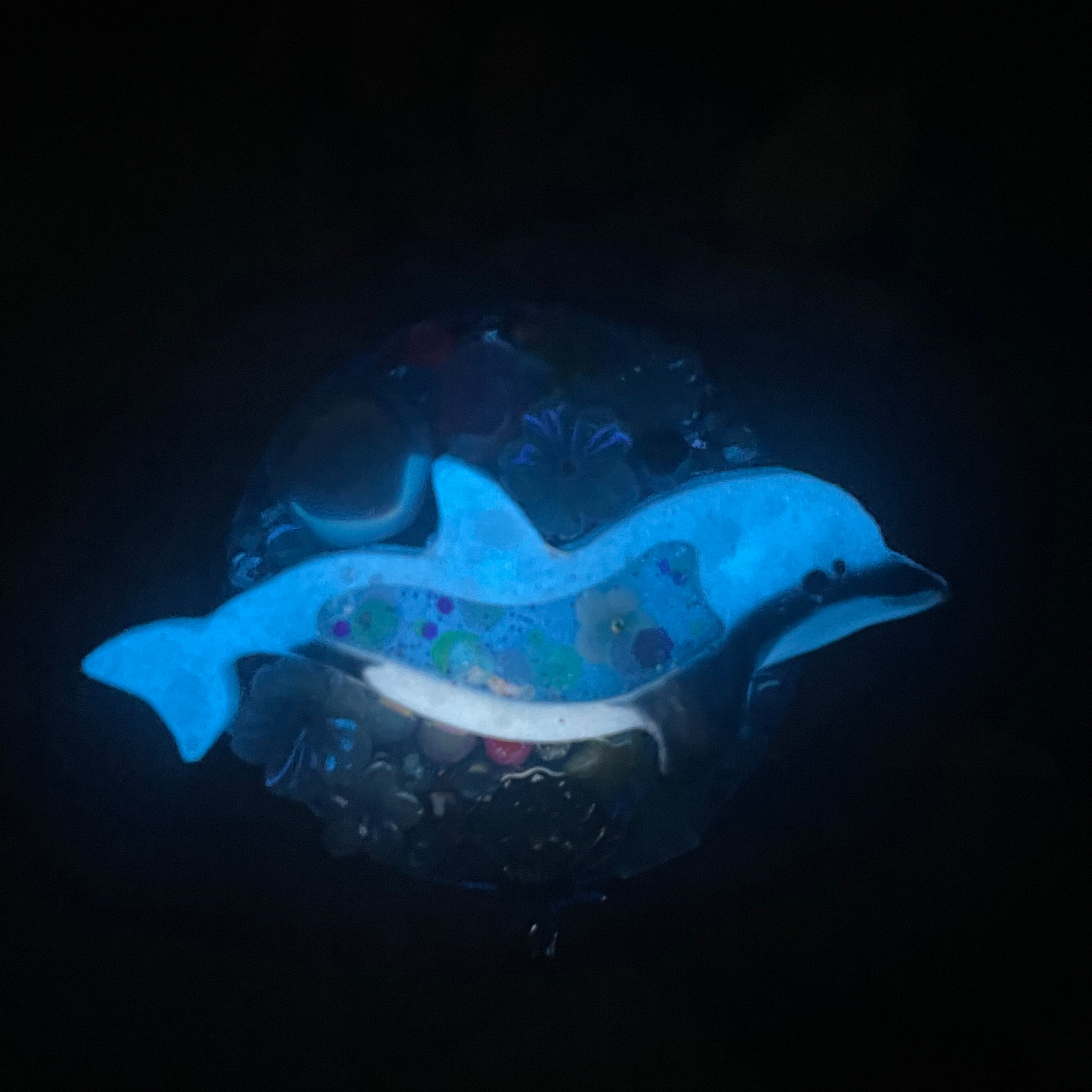 Baby Fraser's Dolphin Starlight Reef Grip