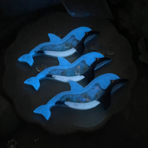 Fraser's Dolphin Clips (6cm clip)