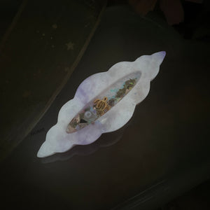 Mini Cowrie Shell C (5cm Clip)