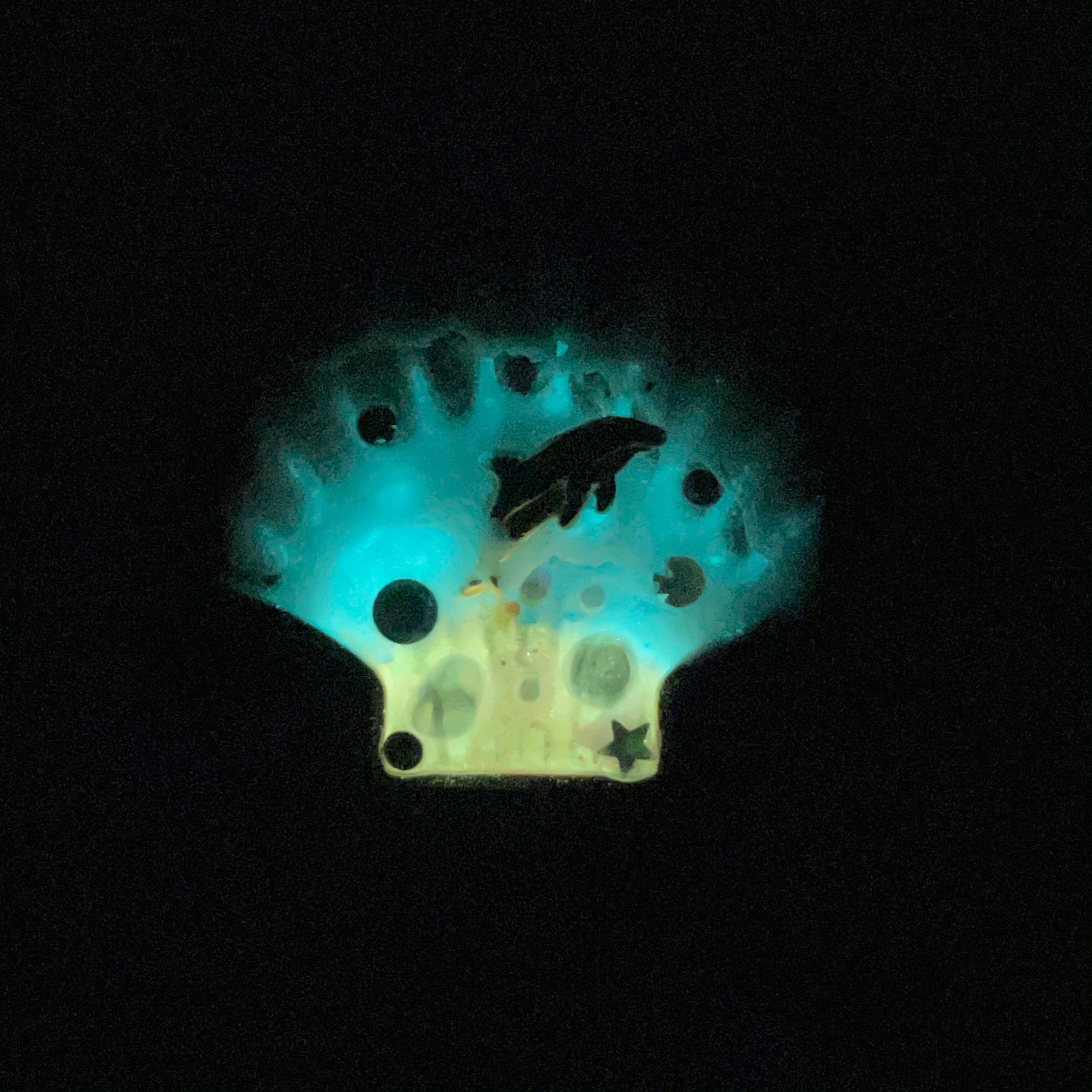 Prism Tides Dolphin Hairtie